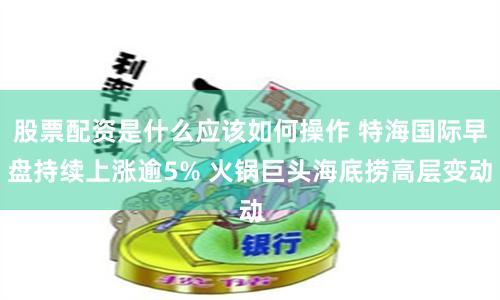 股票配资是什么应该如何操作 特海国际早盘持续上涨逾5% 火锅巨头海底捞高层变动