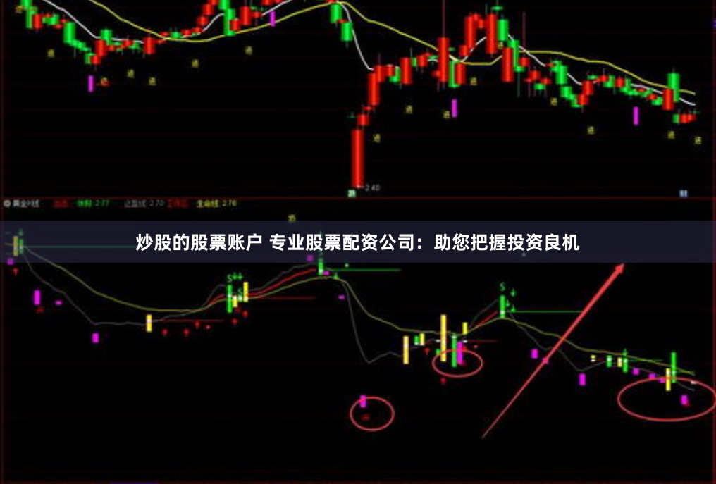 炒股的股票账户 专业股票配资公司：助您把握投资良机
