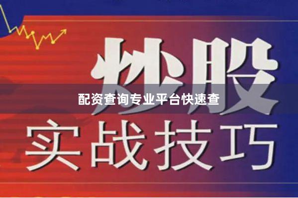 配资查询专业平台快速查